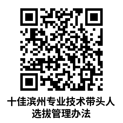 十佳滨州专业技术带头人选拔管理办法.png